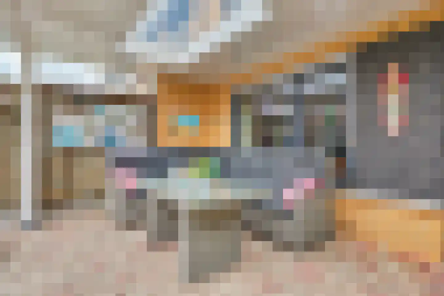 Eikebladvlinder 46 Enschede thumbnail 31