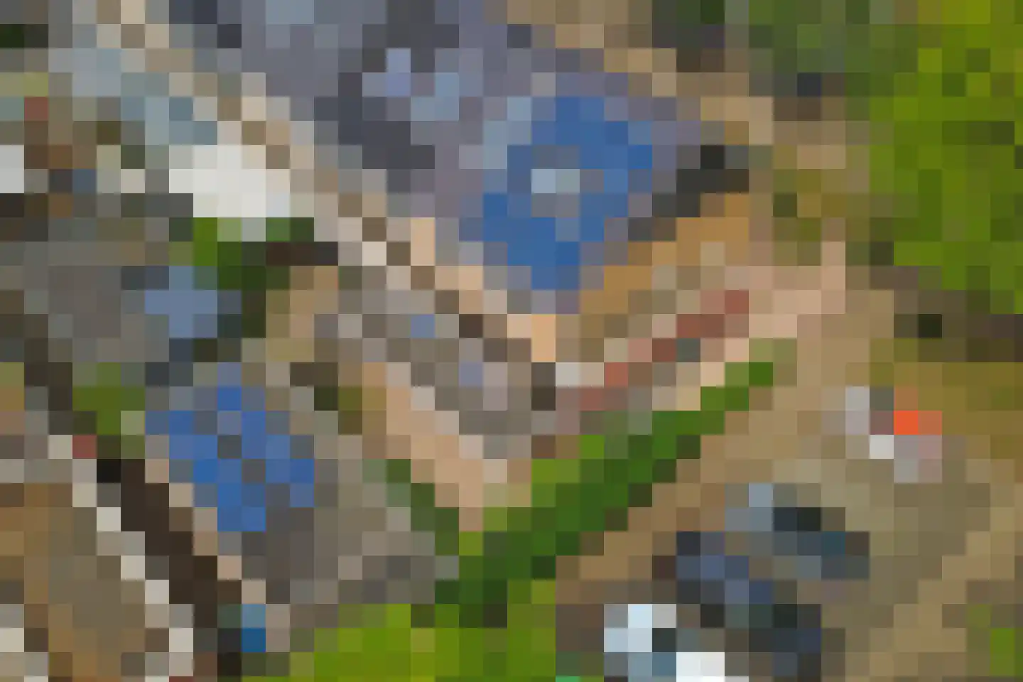 Eikebladvlinder 46 Enschede thumbnail 34