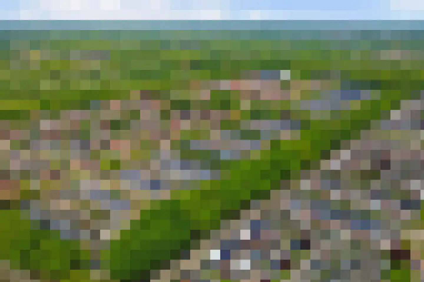 Eikebladvlinder 46 Enschede thumbnail 35