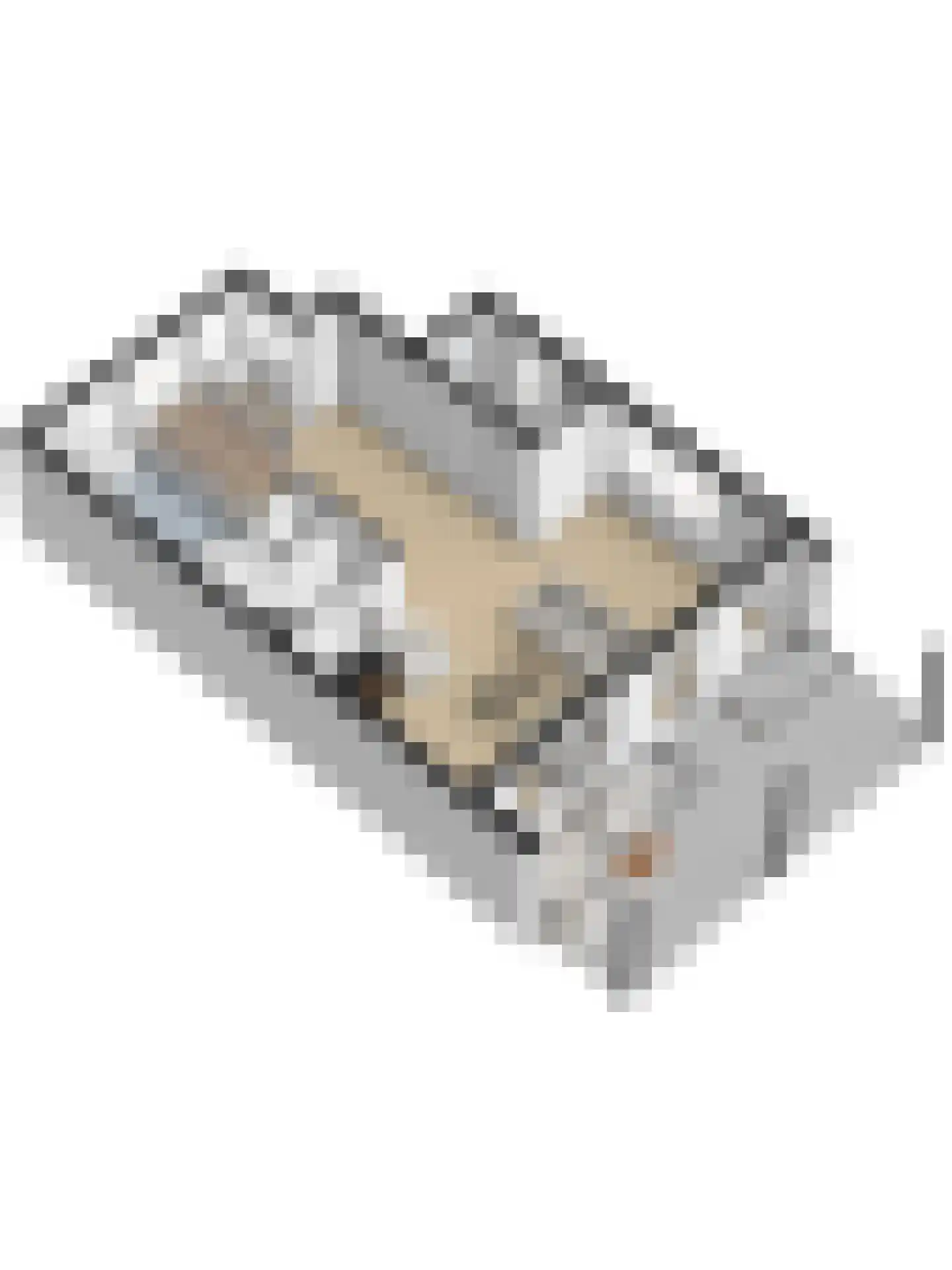 Eikebladvlinder 46 Enschede thumbnail 41