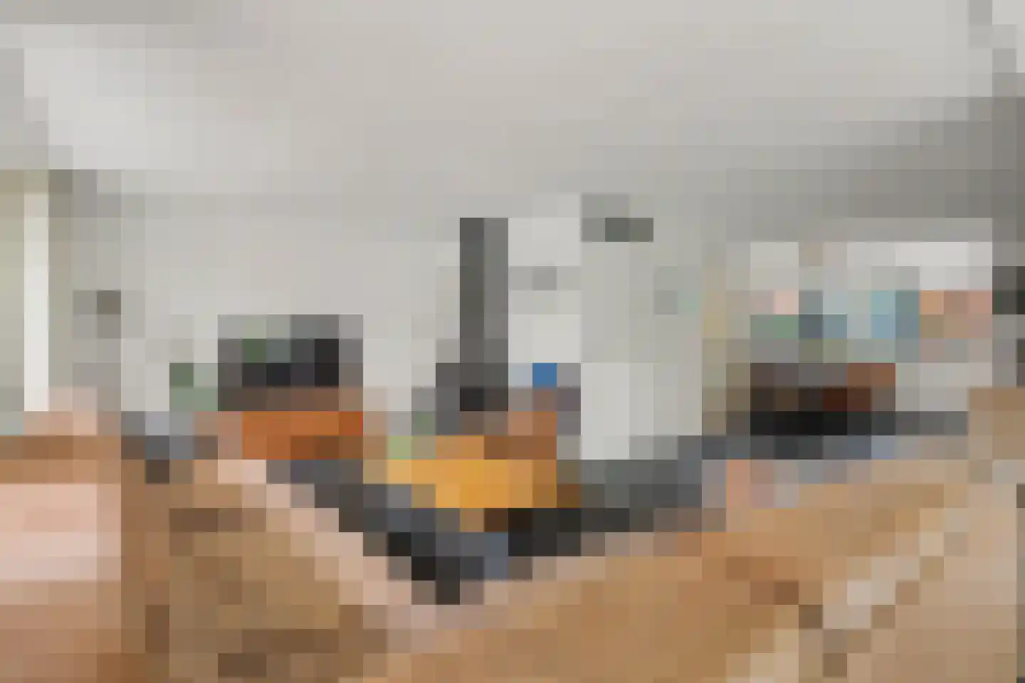 Eikebladvlinder 46 Enschede thumbnail 7