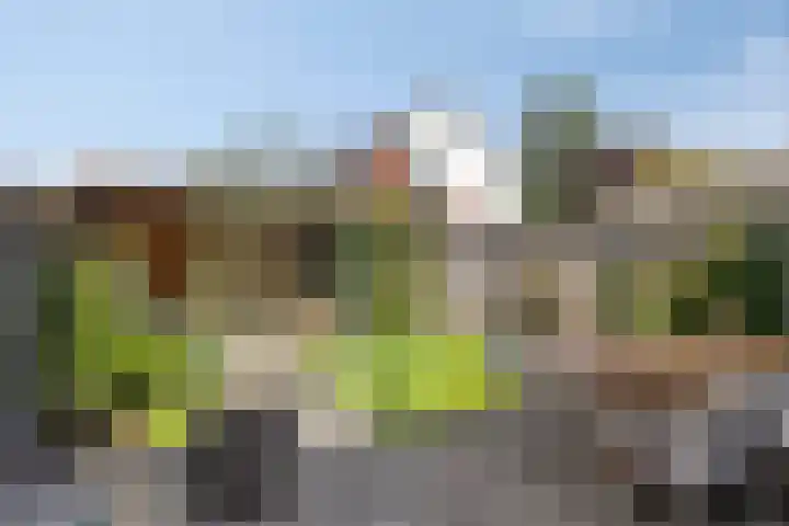Eikebladvlinder 59 Enschede thumbnail 37