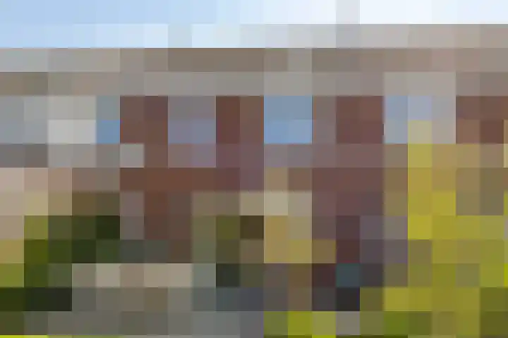 Eikebladvlinder 59 Enschede thumbnail 41