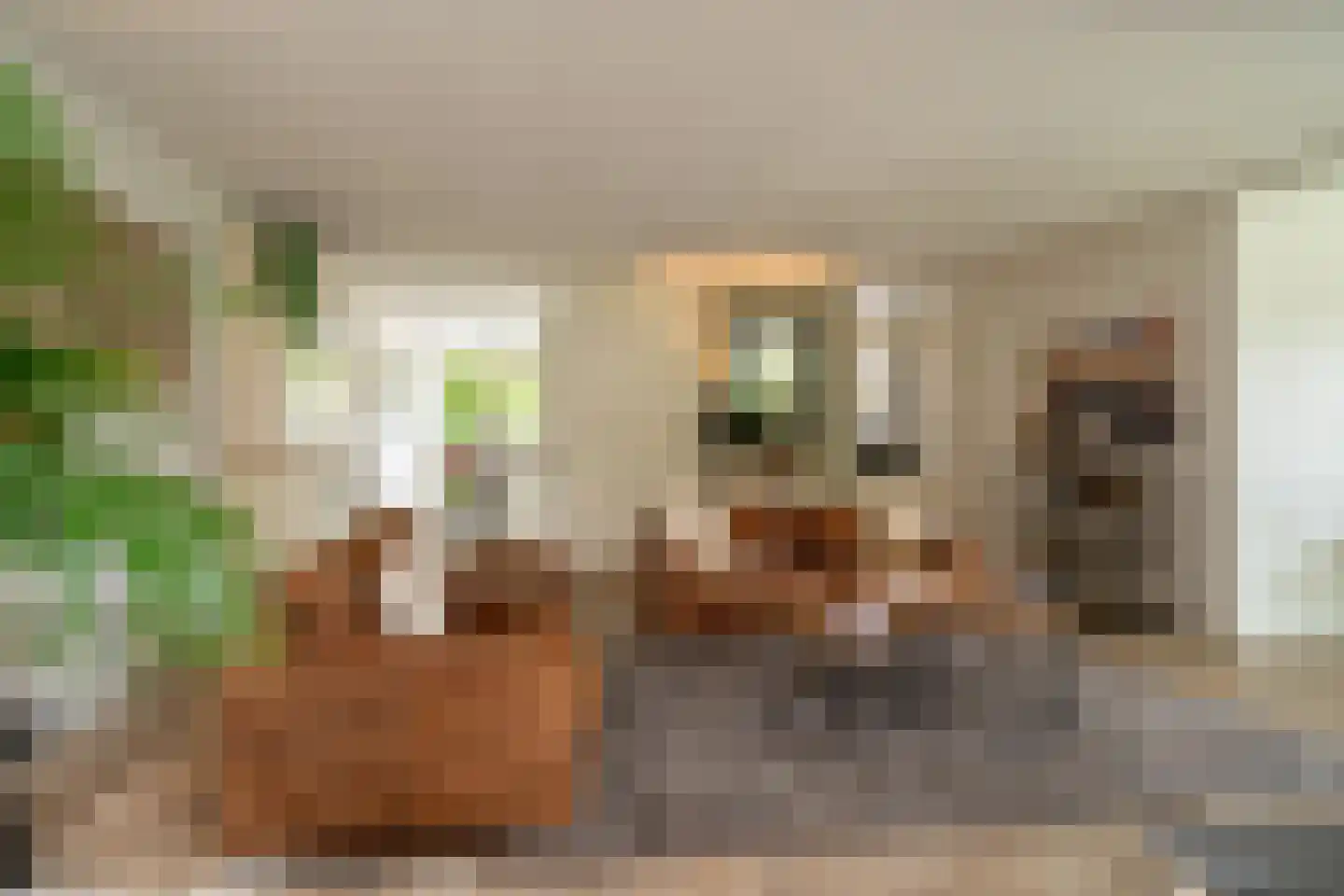 Eikebladvlinder 7 Enschede thumbnail 11