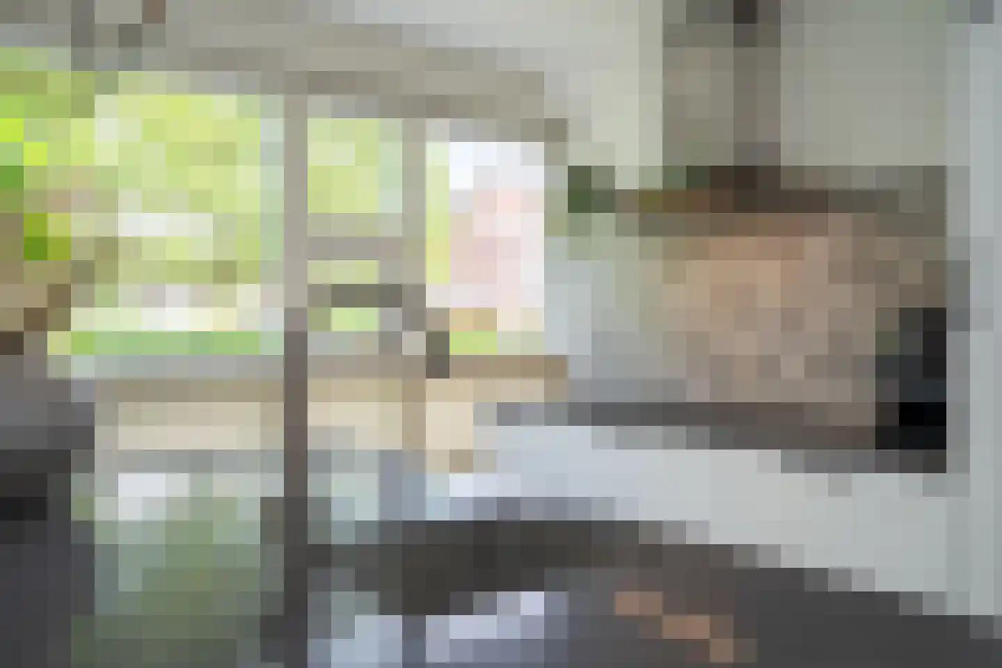 Eikebladvlinder 7 Enschede thumbnail 15