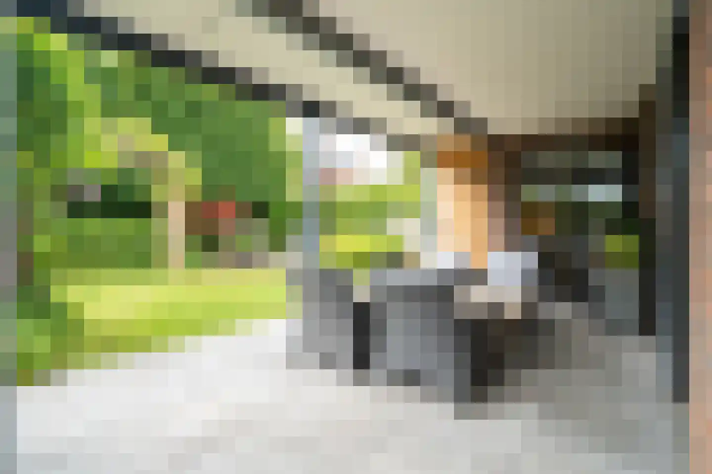 Eikebladvlinder 7 Enschede thumbnail 29