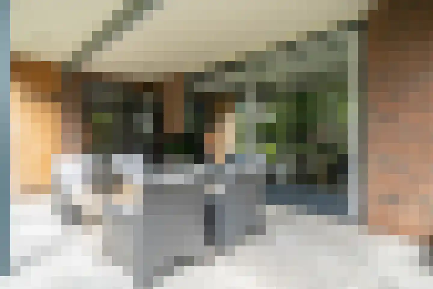 Eikebladvlinder 7 Enschede thumbnail 30