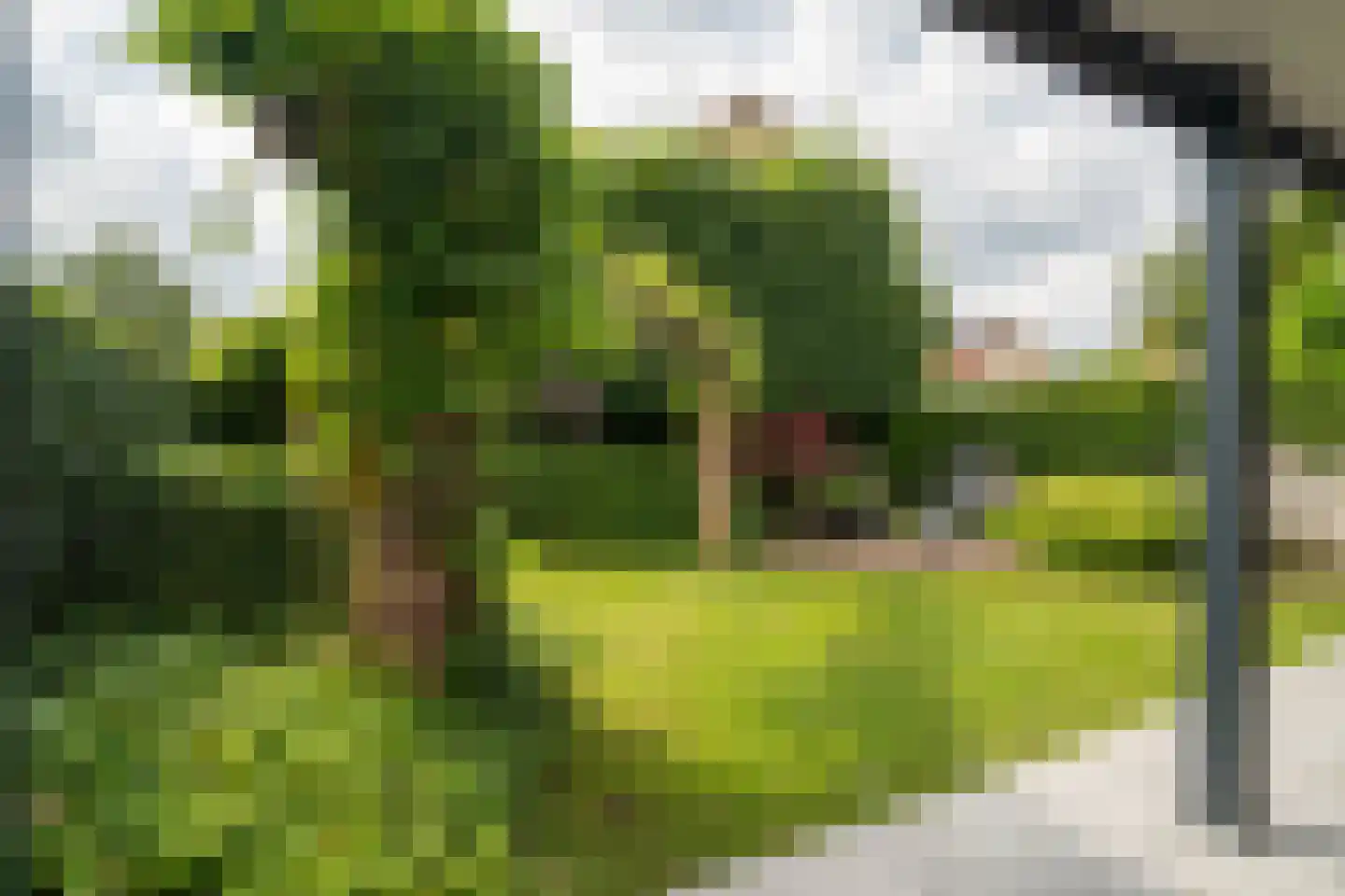Eikebladvlinder 7 Enschede thumbnail 31