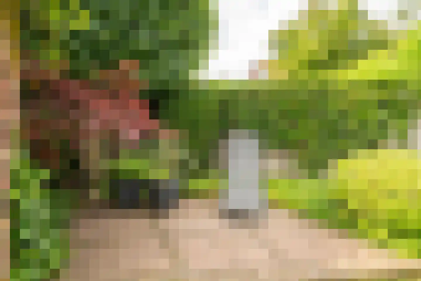 Eikebladvlinder 7 Enschede thumbnail 32