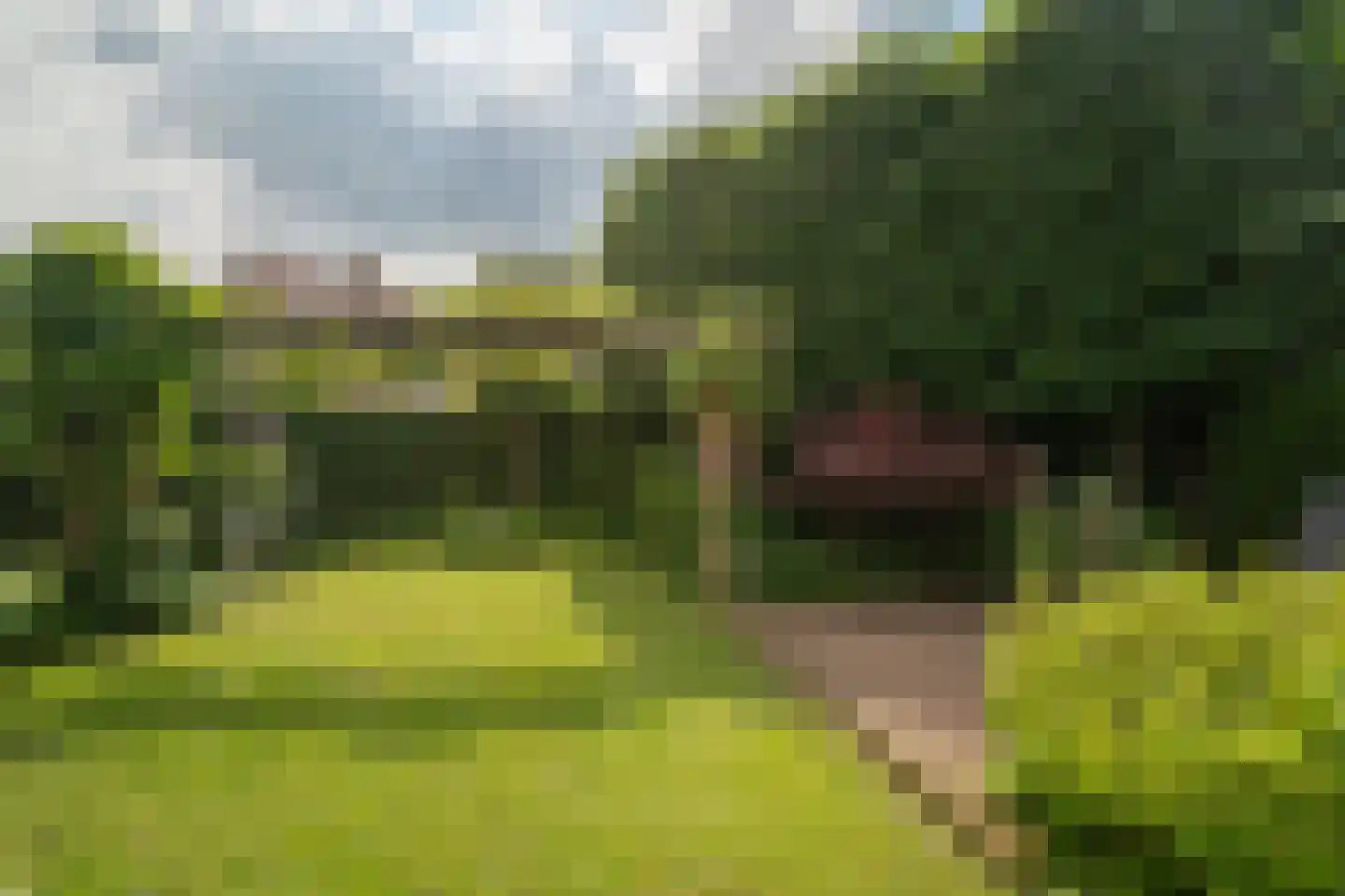 Eikebladvlinder 7 Enschede thumbnail 35