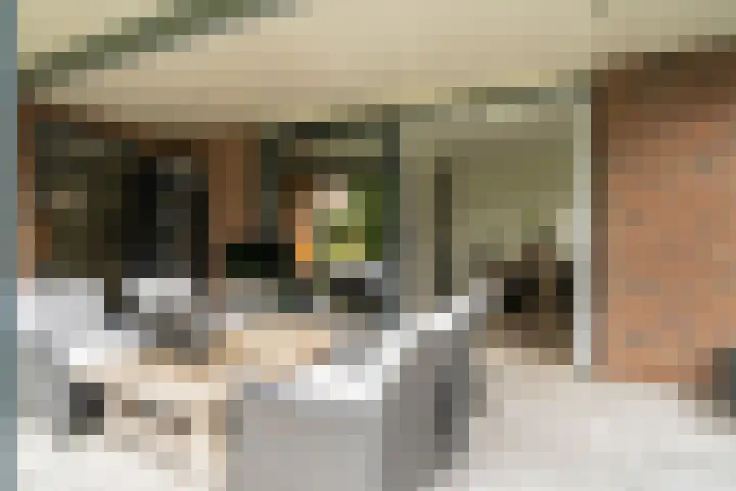 Eikebladvlinder 7 Enschede thumbnail 38