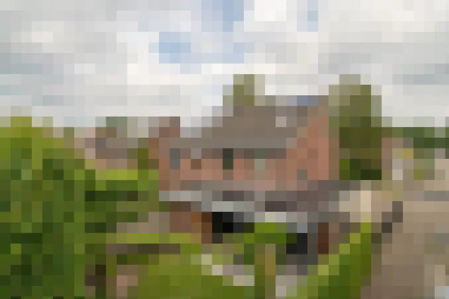 Eikebladvlinder 7 Enschede thumbnail 39