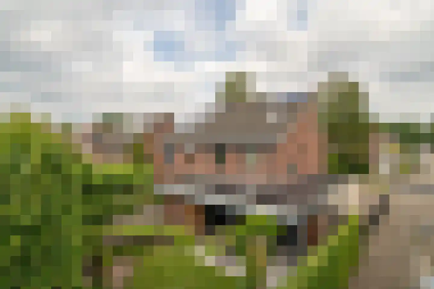 Eikebladvlinder 7 Enschede thumbnail 4