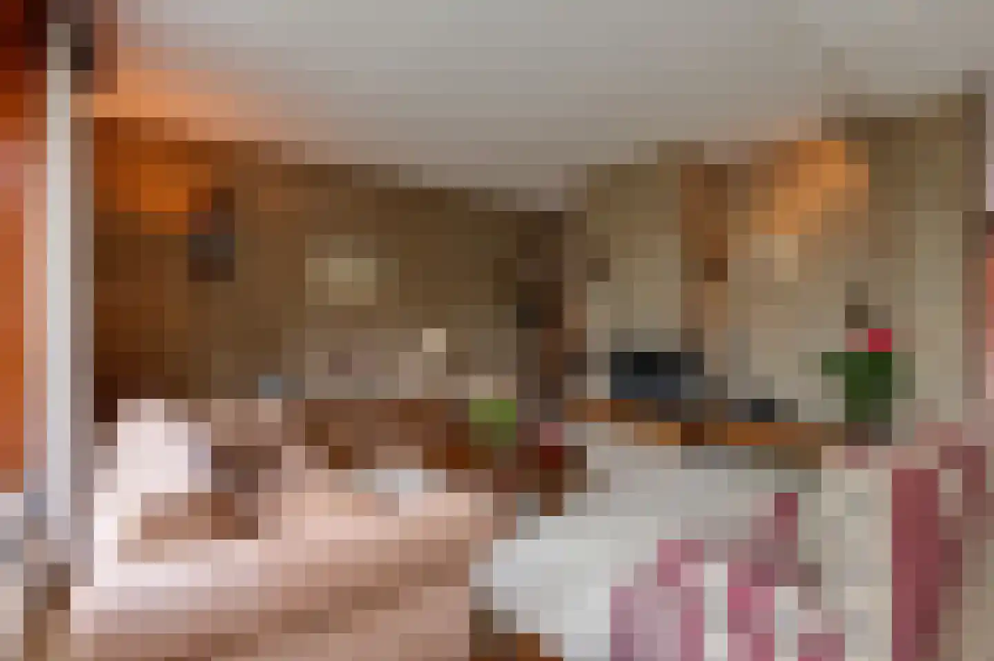 Eikeboom 15 Culemborg thumbnail 11