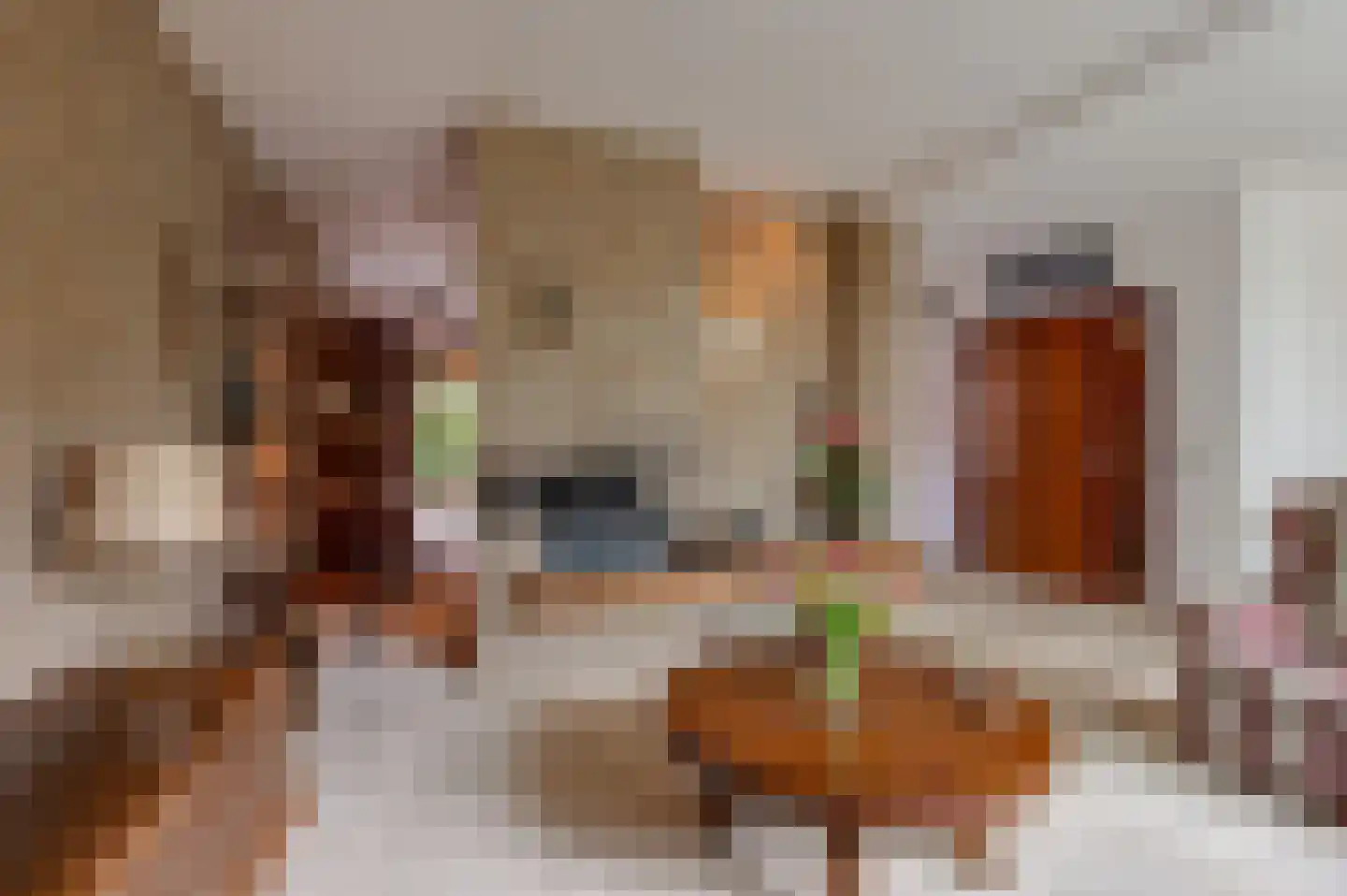 Eikeboom 15 Culemborg thumbnail 12