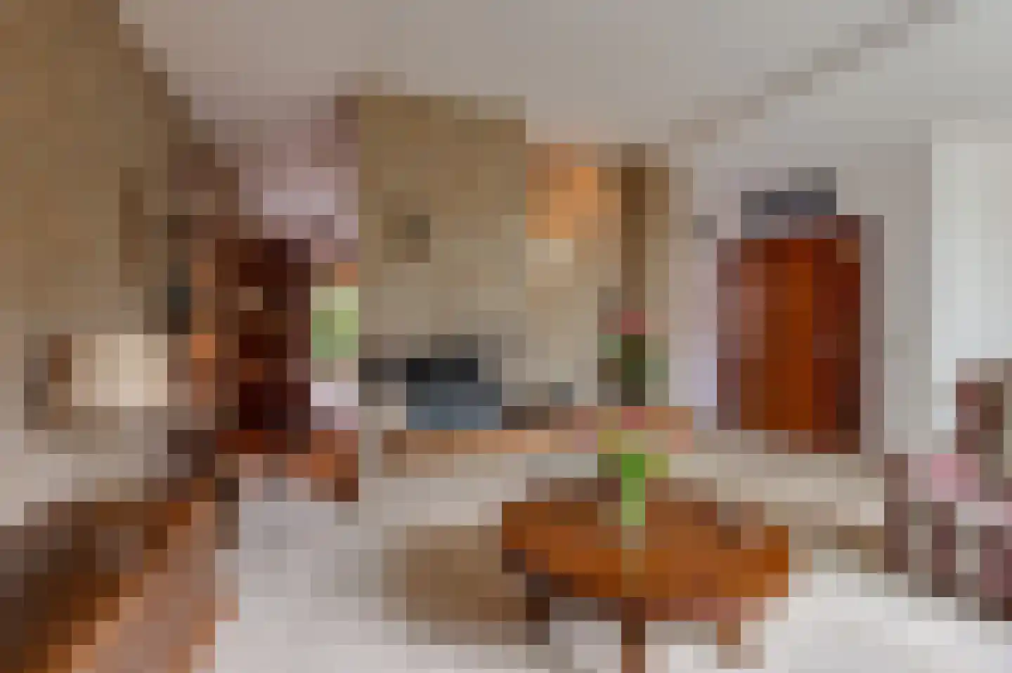 Eikeboom 15 Culemborg thumbnail 14