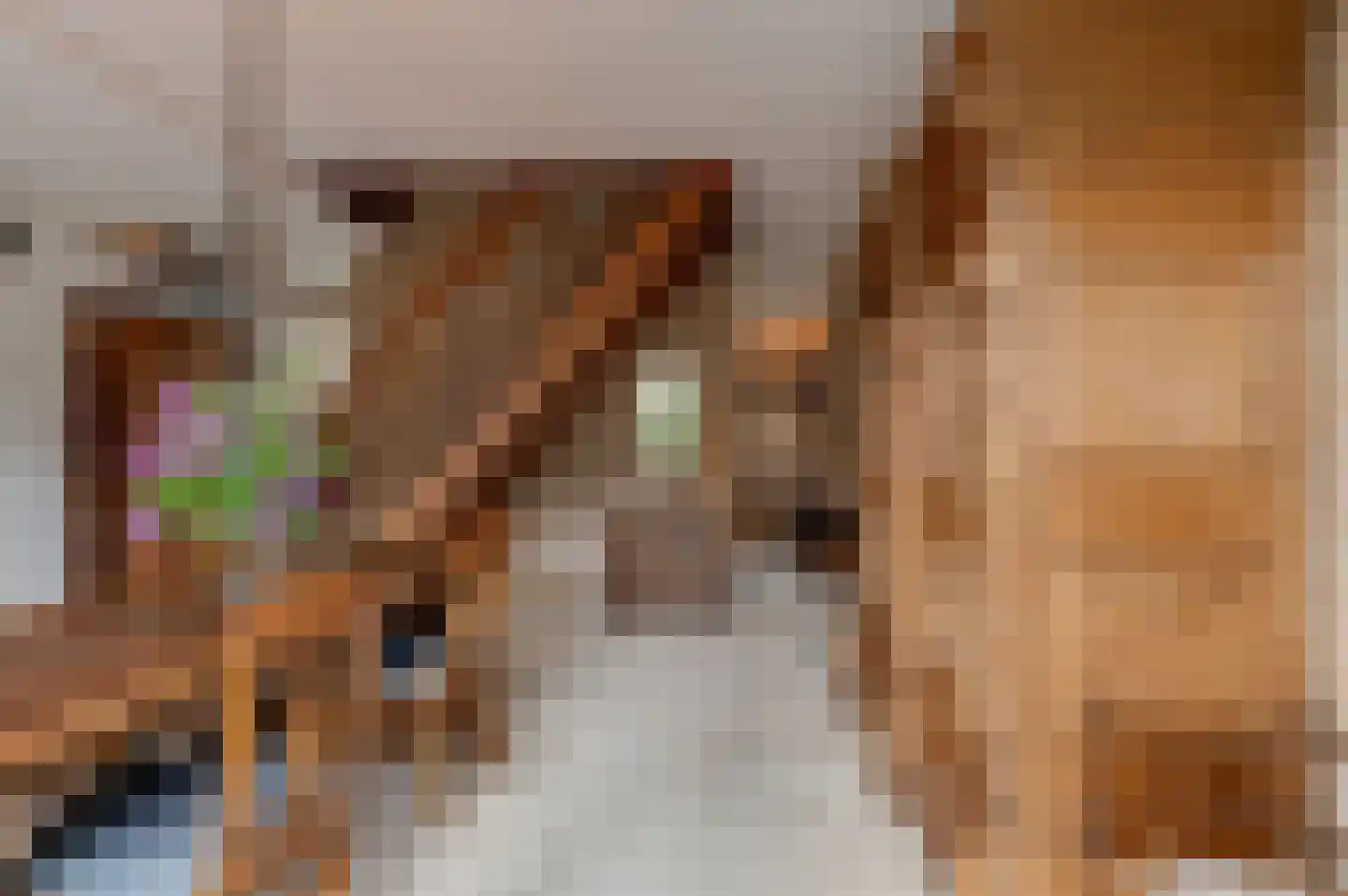 Eikeboom 15 Culemborg thumbnail 17