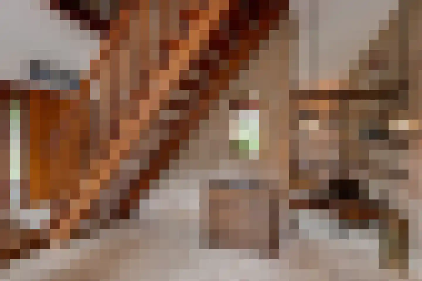 Eikeboom 15 Culemborg thumbnail 18