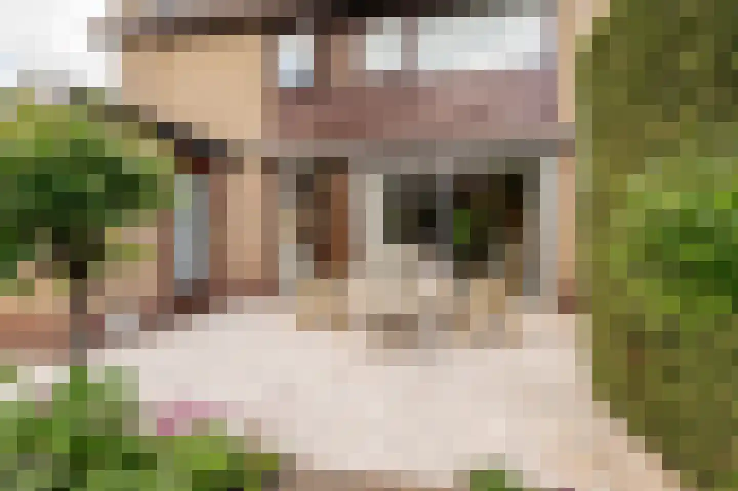 Eikeboom 15 Culemborg thumbnail 23