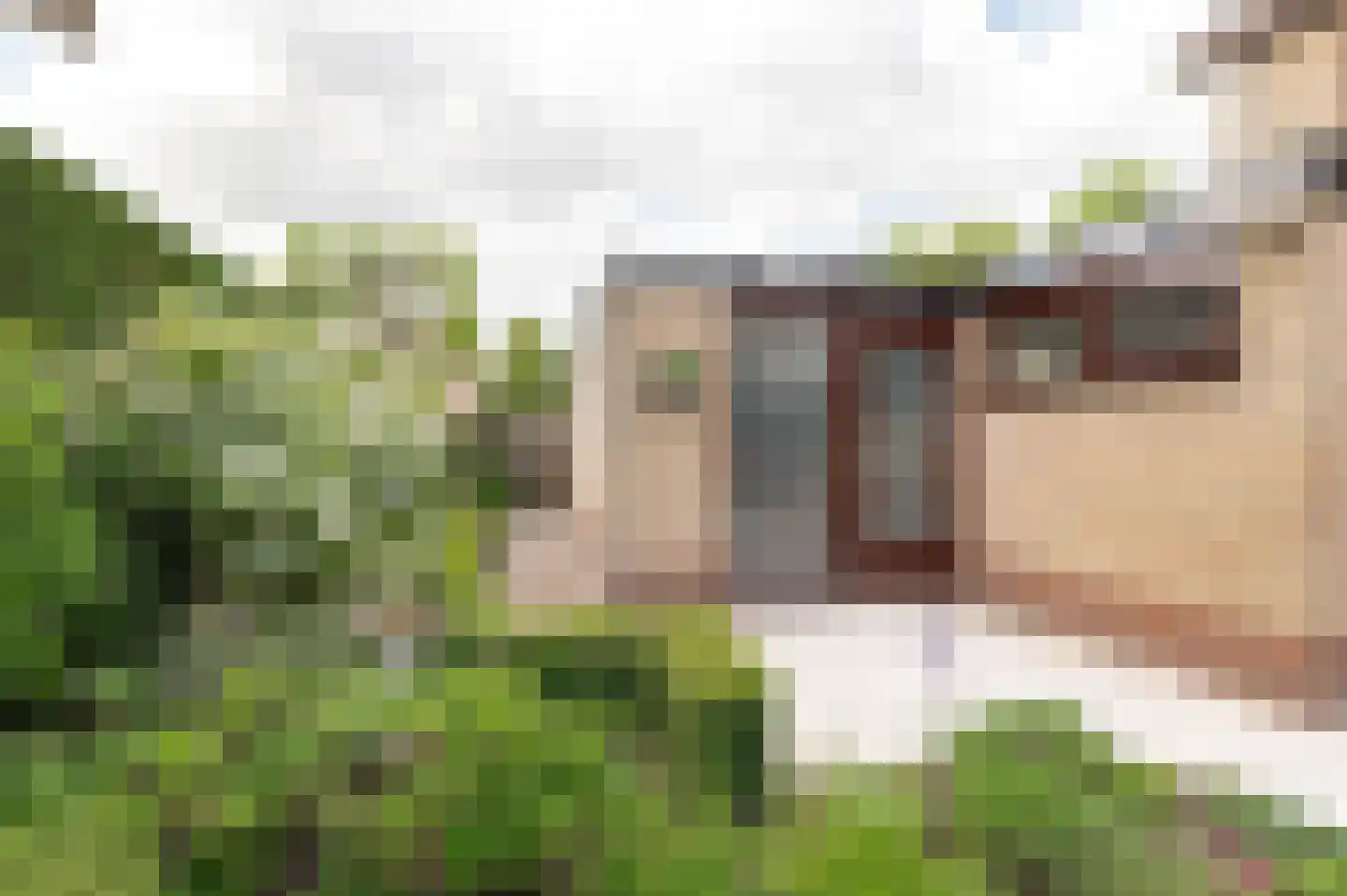 Eikeboom 15 Culemborg thumbnail 25
