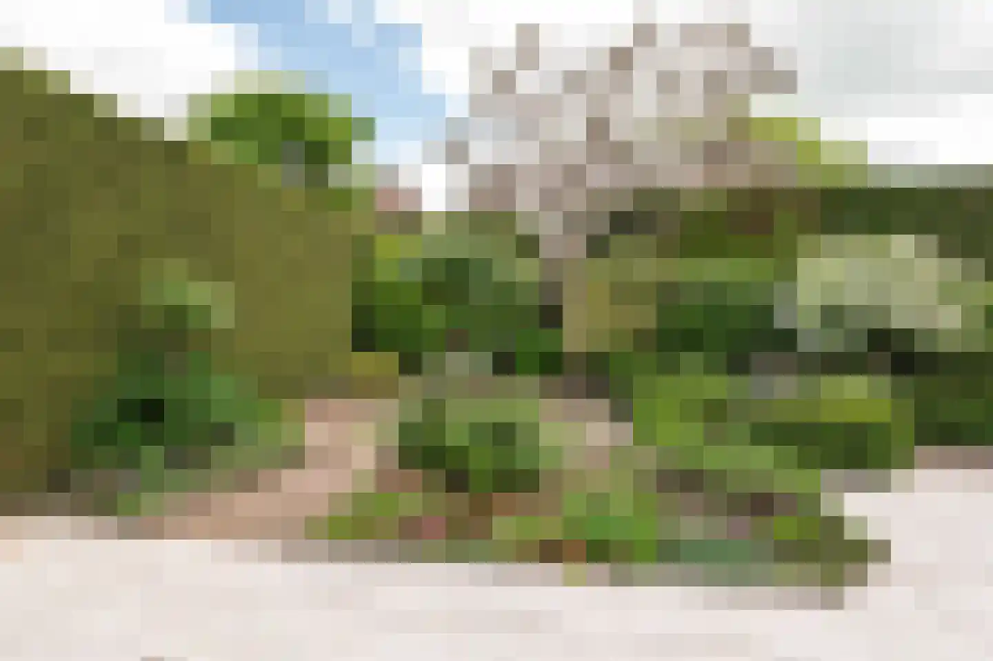 Eikeboom 15 Culemborg thumbnail 28