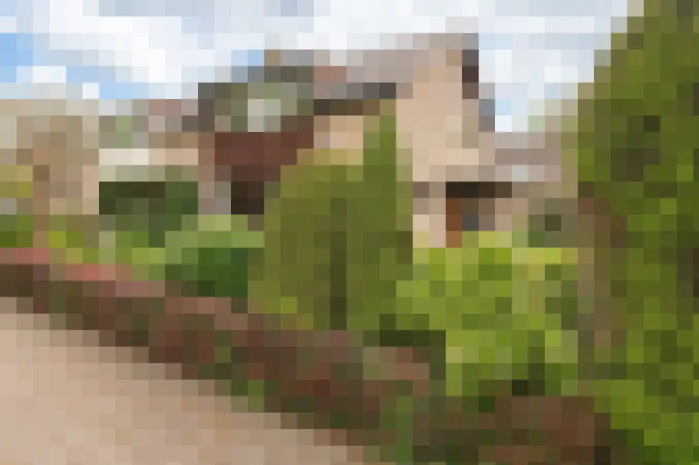 Eikeboom 15 Culemborg thumbnail 46