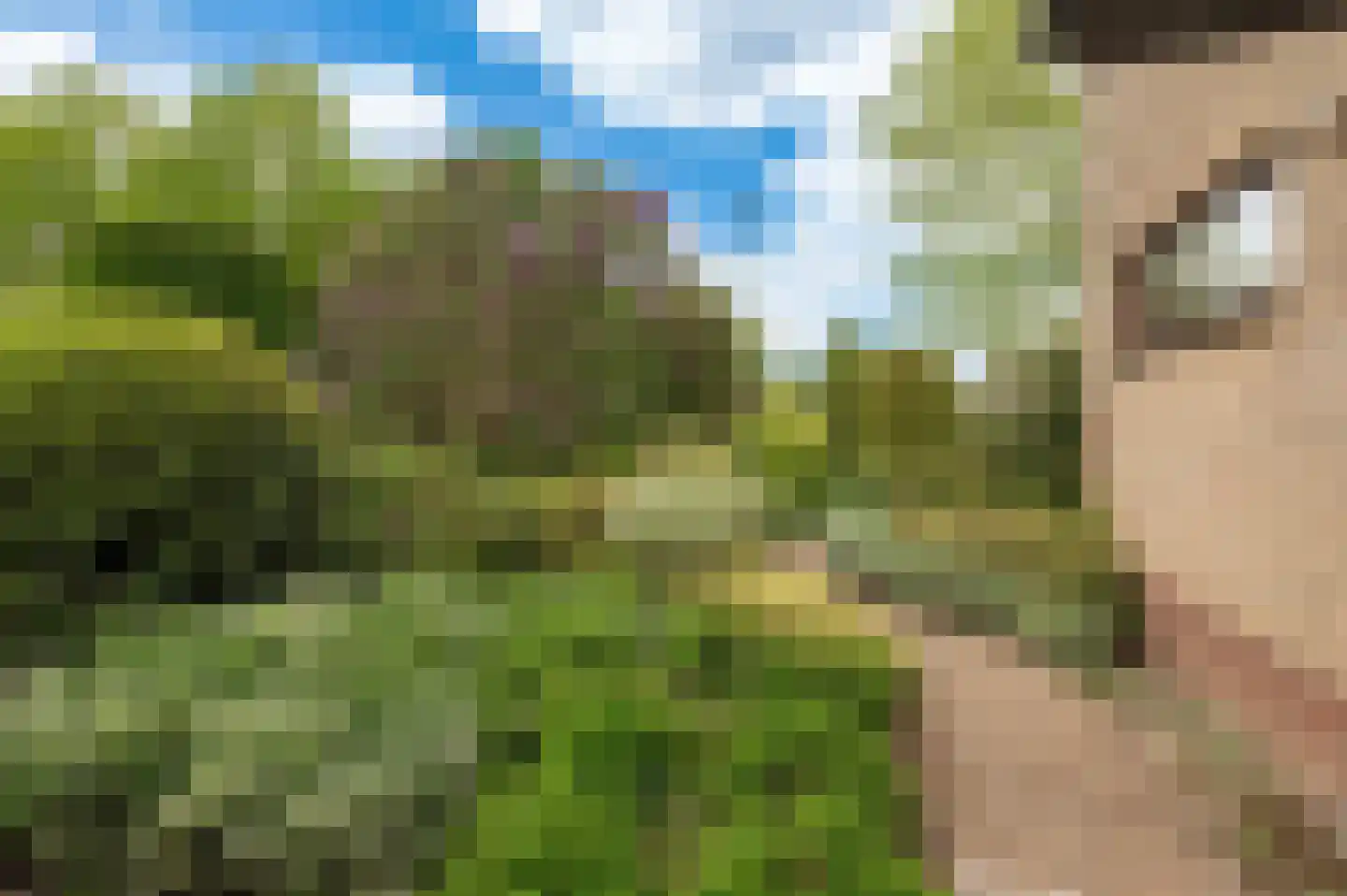 Eikeboom 15 Culemborg thumbnail 47