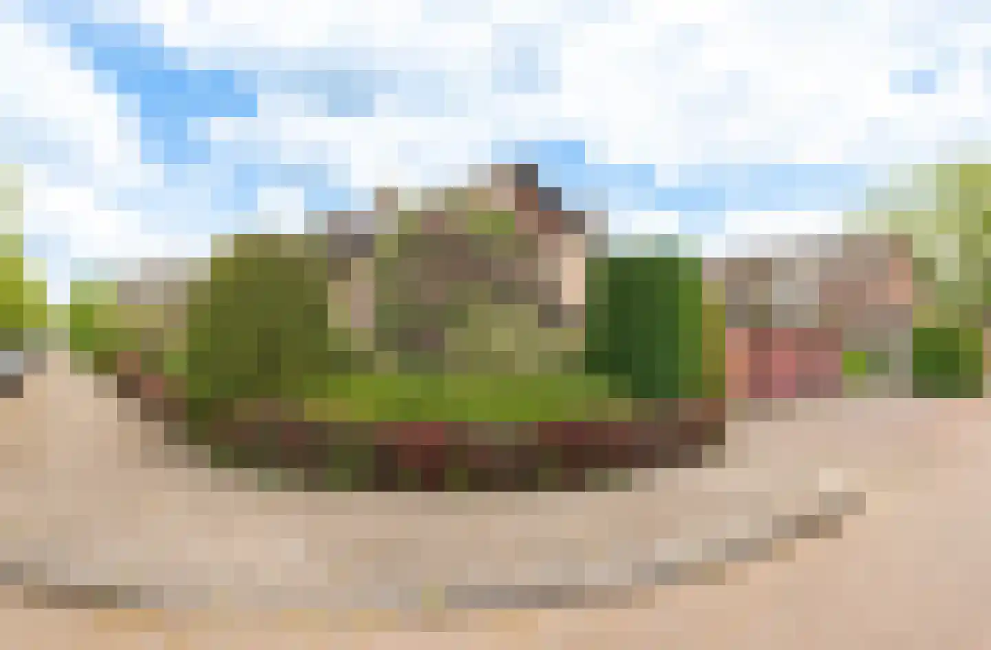 Eikeboom 15 Culemborg thumbnail 48