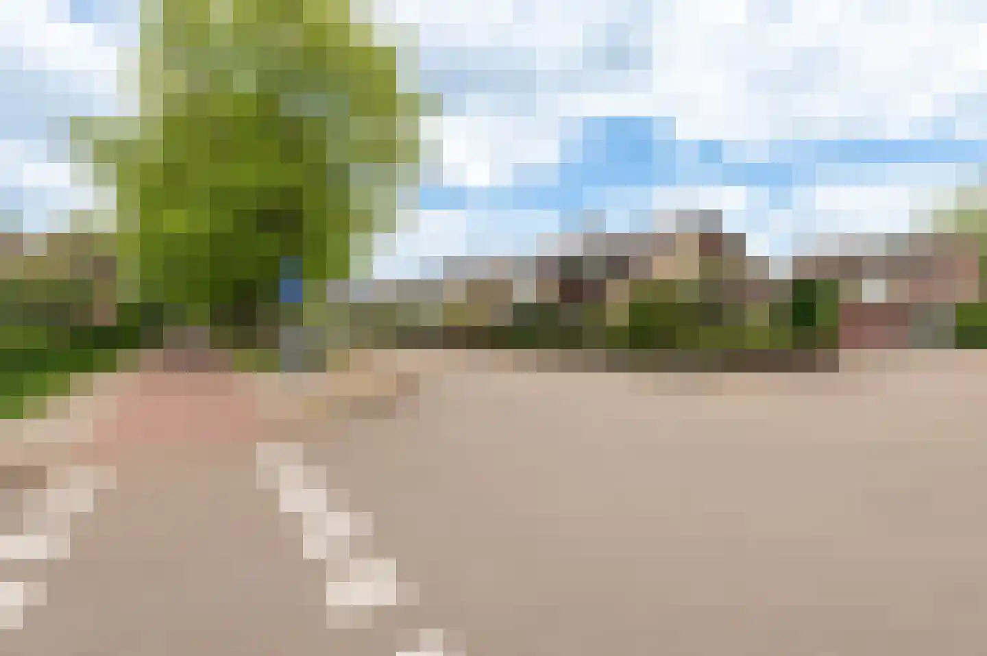 Eikeboom 15 Culemborg thumbnail 49