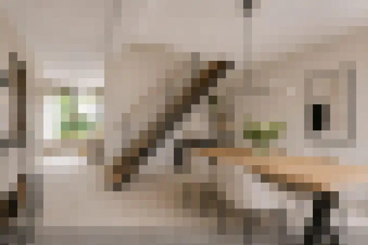 Eikeboom 15 Culemborg thumbnail 5