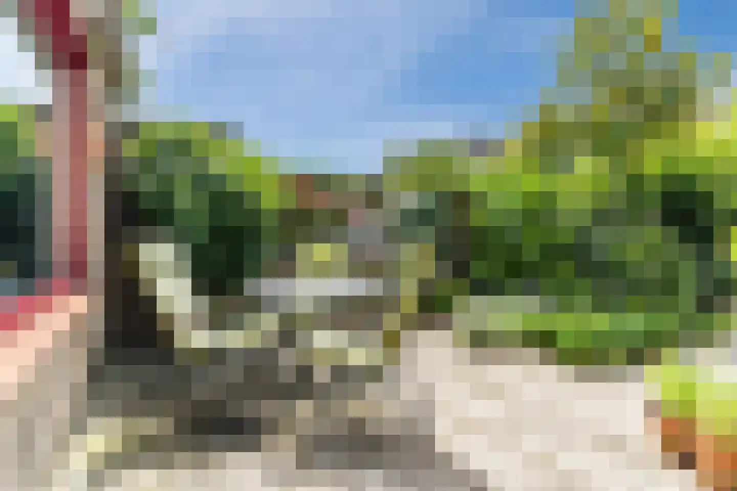 Eikeboom 35 Culemborg thumbnail 25