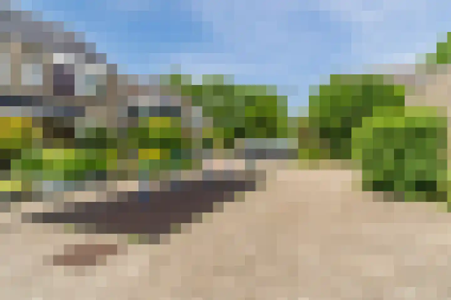Eikeboom 35 Culemborg thumbnail 29