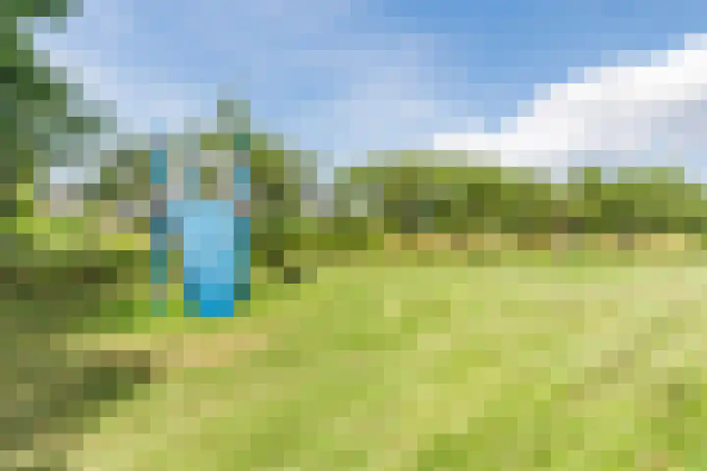 Eikeboom 35 Culemborg thumbnail 5