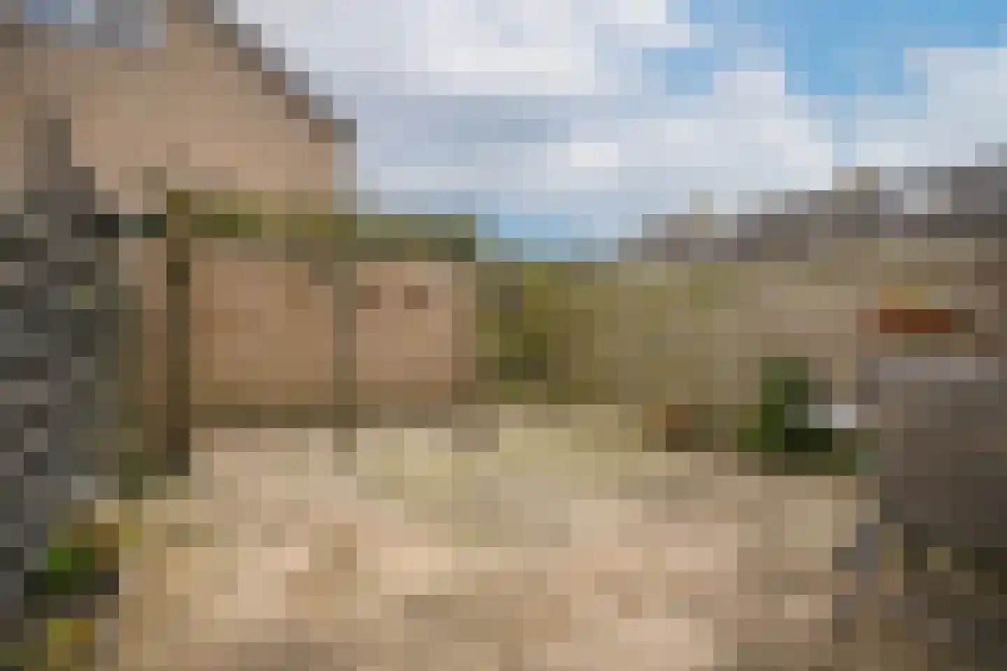 Eikeboom 79 Culemborg thumbnail 30