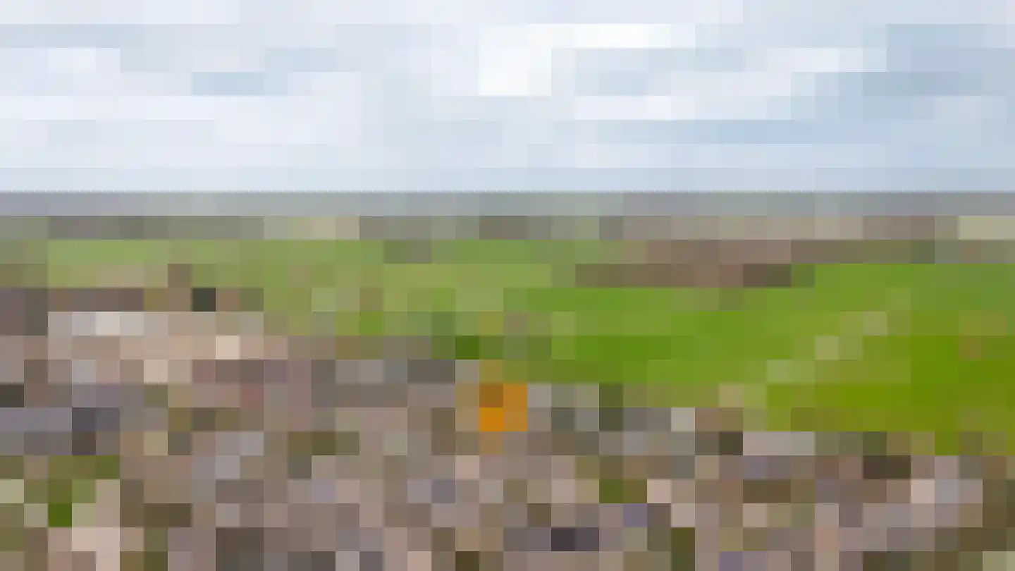 Eikeboom 79 Culemborg thumbnail 35