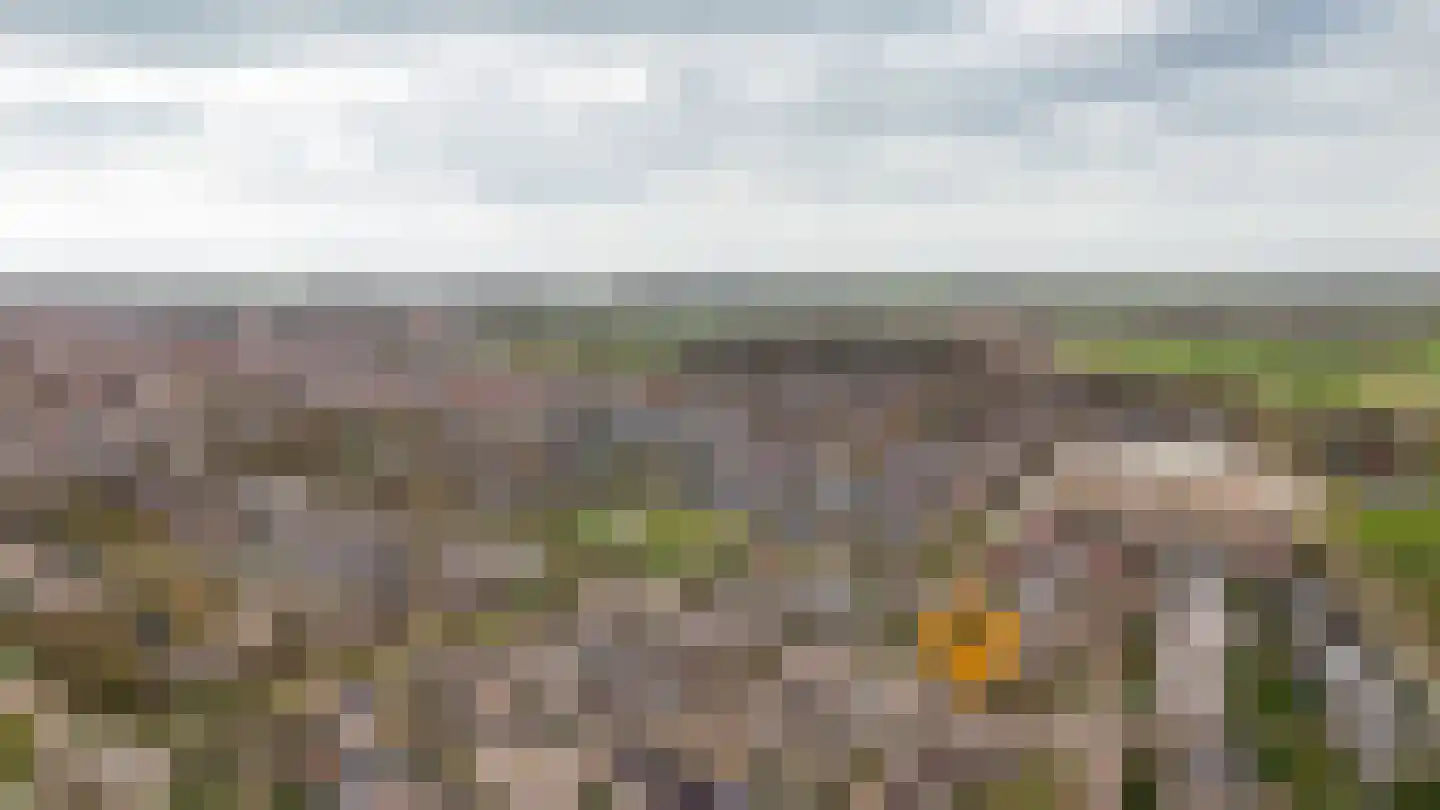Eikeboom 79 Culemborg thumbnail 36