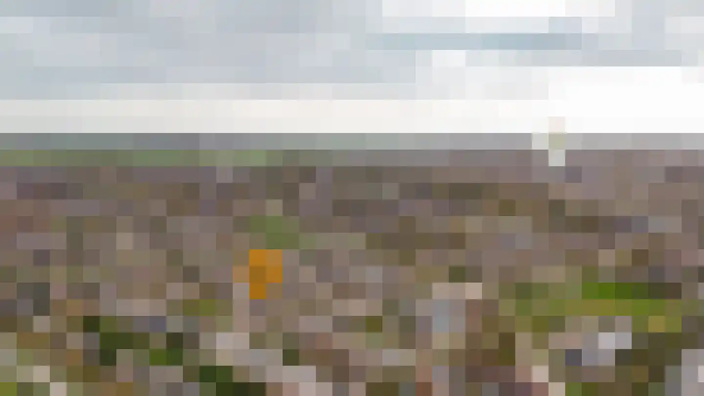 Eikeboom 79 Culemborg thumbnail 37