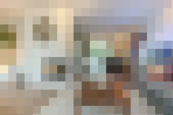 Eikeboom 9 Culemborg thumbnail 11