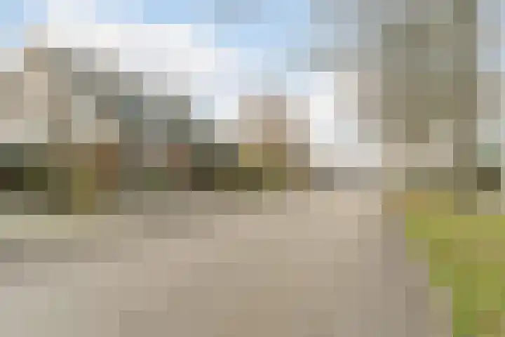 Eikeboom 9 Culemborg thumbnail 36
