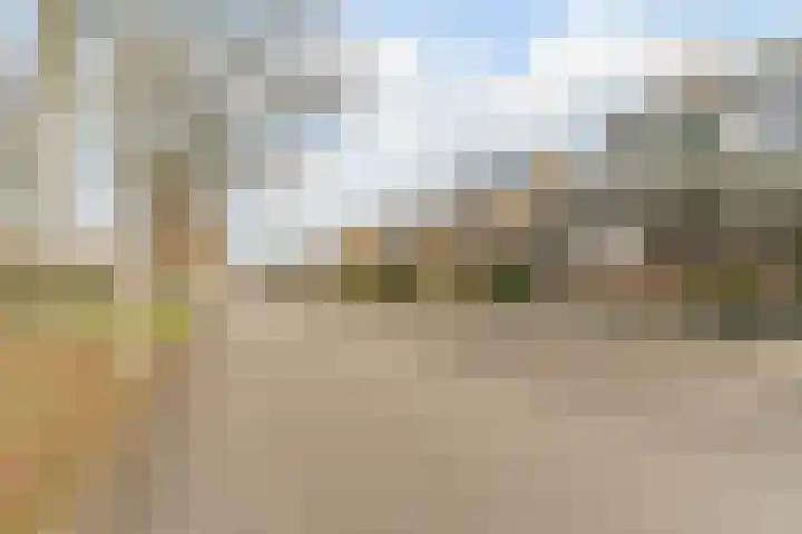 Eikeboom 9 Culemborg thumbnail 37
