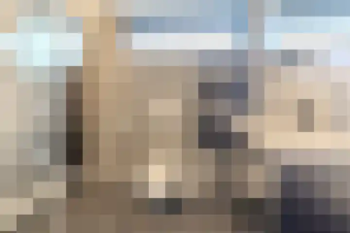 Eikeboom 9 Culemborg thumbnail 4