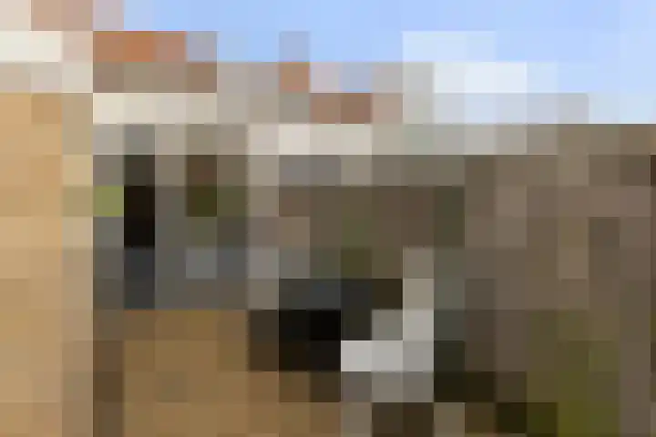 Eikeboomstraat 14 Zwijndrecht thumbnail 24