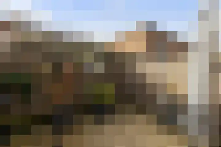 Eikeboomstraat 14 Zwijndrecht thumbnail 26