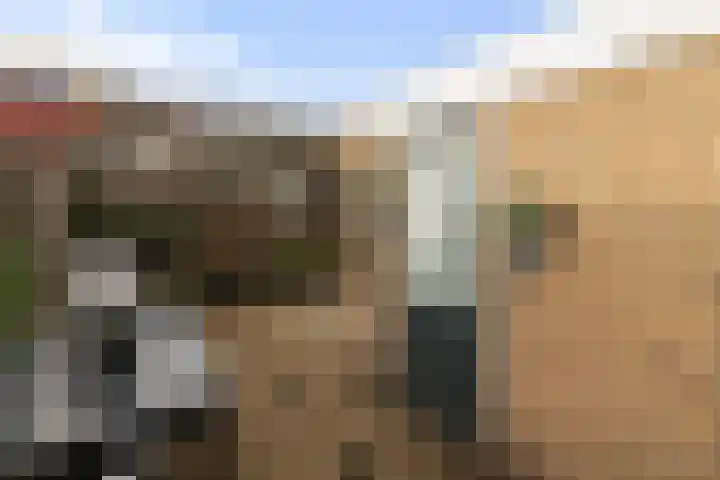 Eikeboomstraat 14 Zwijndrecht thumbnail 4