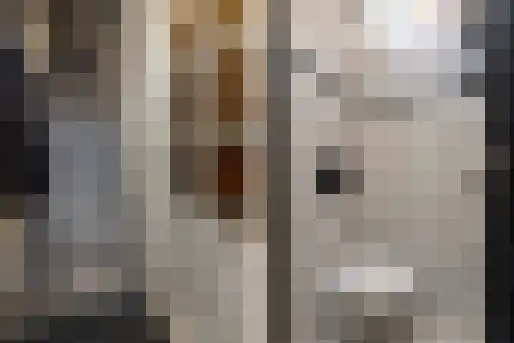 Eikeboomstraat 14 Zwijndrecht thumbnail 5