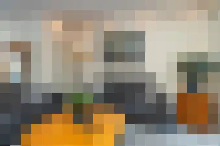 Eikeboomstraat 14 Zwijndrecht thumbnail 8