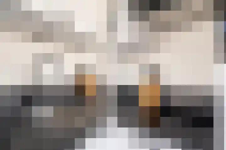 Eikeboomstraat 16 Zwijndrecht thumbnail 10