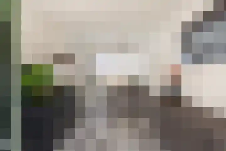 Eikeboomstraat 16 Zwijndrecht thumbnail 11