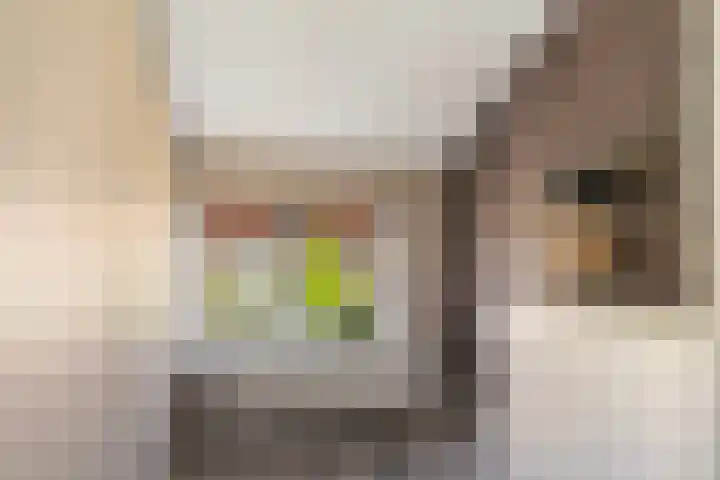 Eikeboomstraat 16 Zwijndrecht thumbnail 21