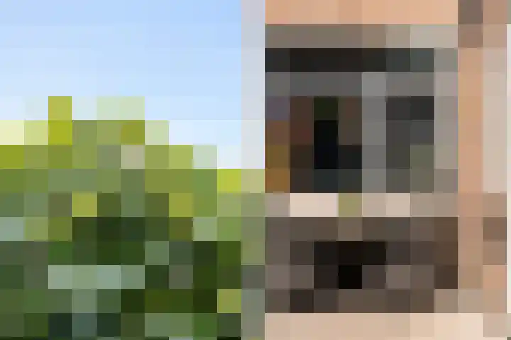 Eikeboomstraat 16 Zwijndrecht thumbnail 30